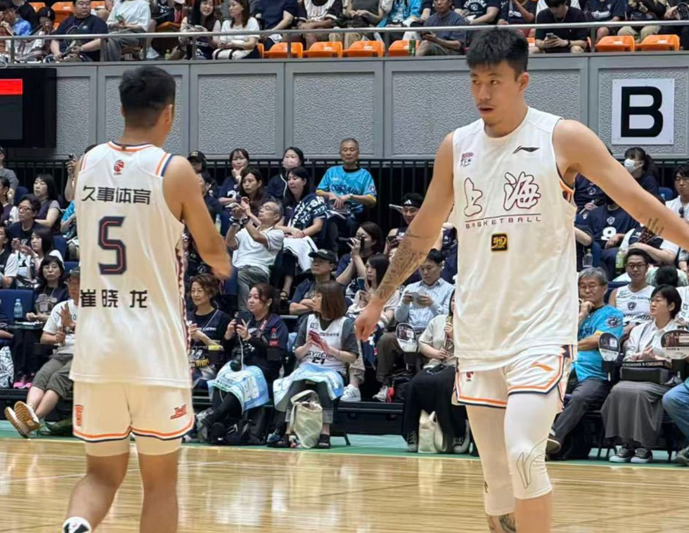 大鲨鱼主教 大鲨鱼主教