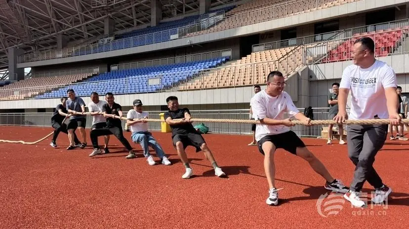岛两区预赛, 青岛赛区赛, 莱西市预赛 岛两区预赛, 青岛赛区赛, 莱西市预赛